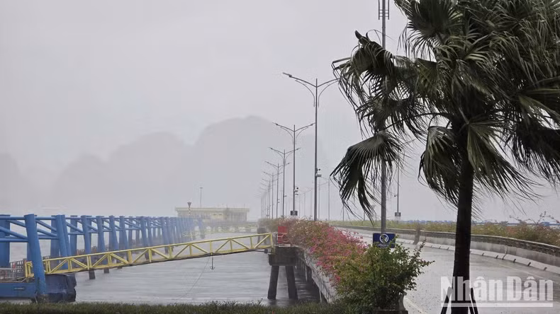 今天上午9时，广宁省下龙市雨势加大。