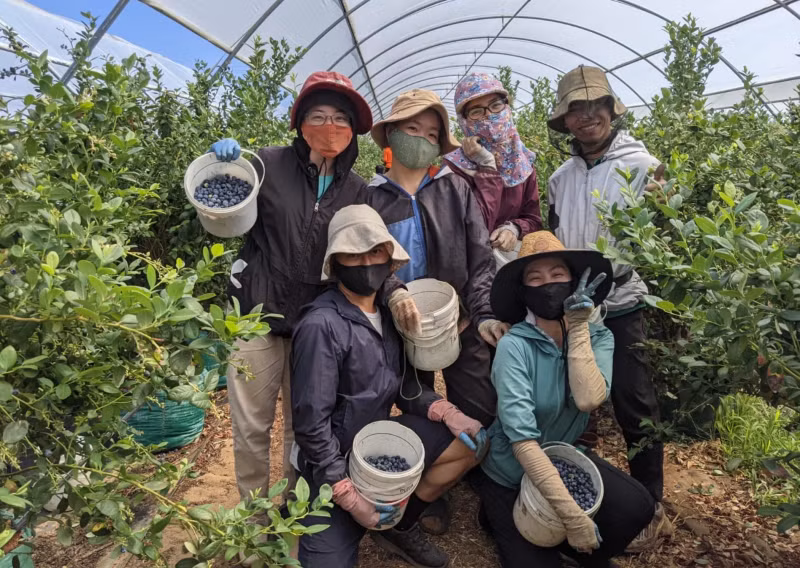 持403签证在澳大利亚工作的劳动者每个月基本工资约为4030澳元。