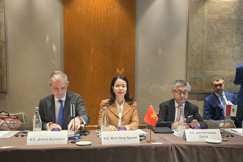 越南外交部副部长阮明姮出席会议。