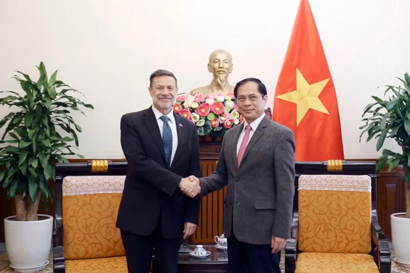 越南政府副总理兼外交部长裴青山会见澳大利亚驻越南大使。（图片来源：VGP）