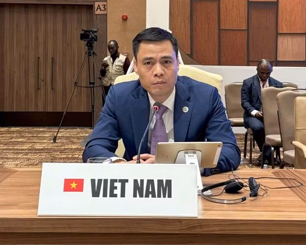 越南驻联合国代表团团长邓黄江大使。（图片来源：越通社）