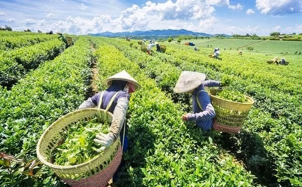 附图。