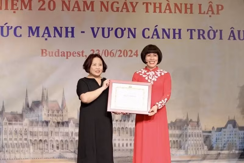旅匈越南妇女协会会长潘碧善荣获外交部长授予的奖状。（图片来源：越通社）
