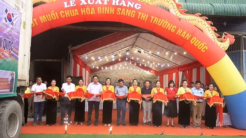 腌酸辣椒出口韩国首发仪式。
