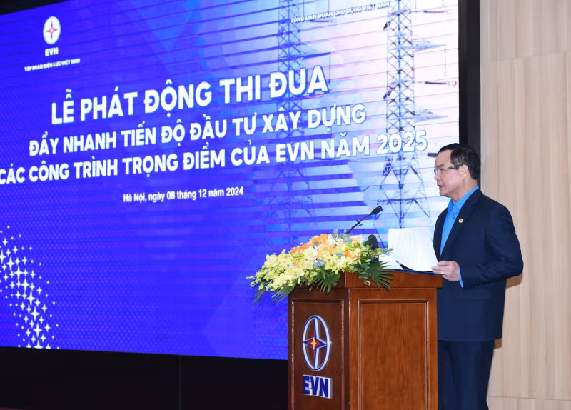 越南劳动总联合会主席阮廷康在会上发表讲话。