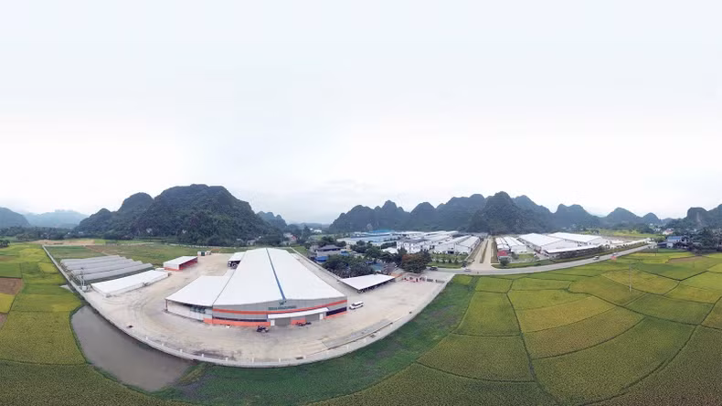 山阳县福应工业群的入住率为96%。 山阳县福应工业群的入住率为96%。