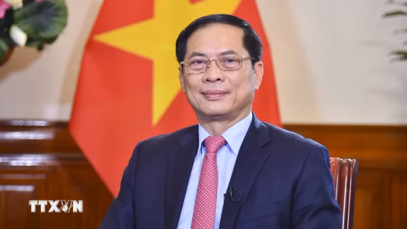 越南外交部长裴青山。（图片来源：越通社）