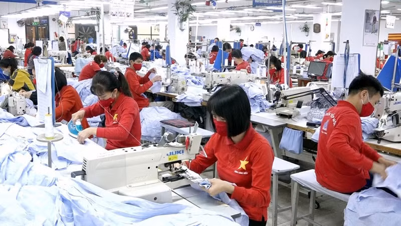在欧洲工作的越南劳工。（图片来源：劳动报）