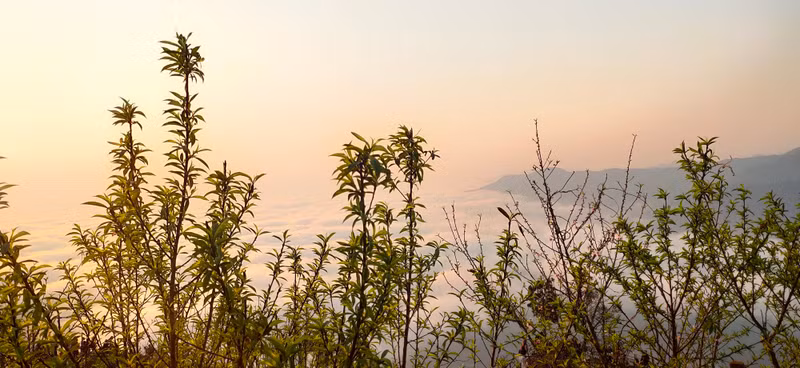 桃花之美点缀春天的色彩。