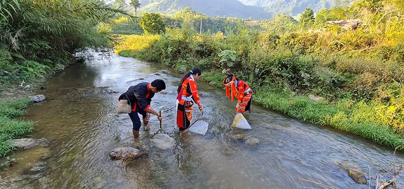 到宣光省旅游，游客可以与这里的少数民族一起体验许多农业体验。（图片来源：投资报）