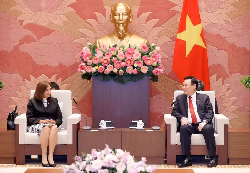 越南国会主席王廷惠会见古巴全国人民政权代表大会副主席。