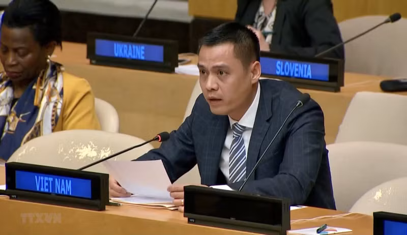 越南常驻联合国代表团团长邓黄江大使。