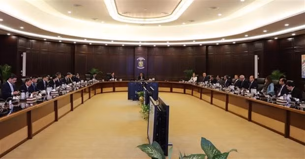 越南政府副总理陈流光与埃及总理穆斯塔法·马德布利举行会谈。（图片来源：越通社）