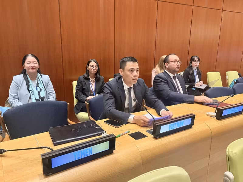 越南常驻联合国代表团团长邓黄江大使在谈论上发表讲话。（图片来源：越通社）