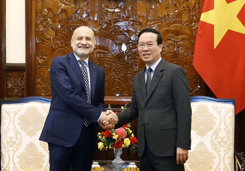 国家主席武文赏在主席府会见意大利驻越南大使安东尼奥·亚历山德罗。（图片来源：越通社）