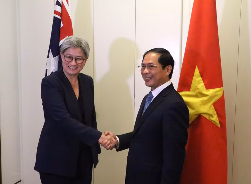 越南外长裴青山和澳大利亚外长黄英贤。（图片来源：越通社）