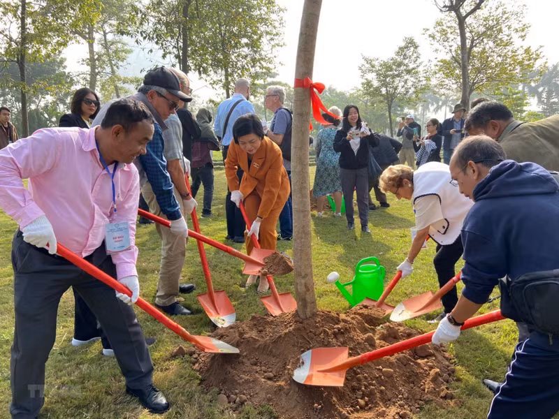 越南和国际代表种下友谊树。（图片来源：越通社）