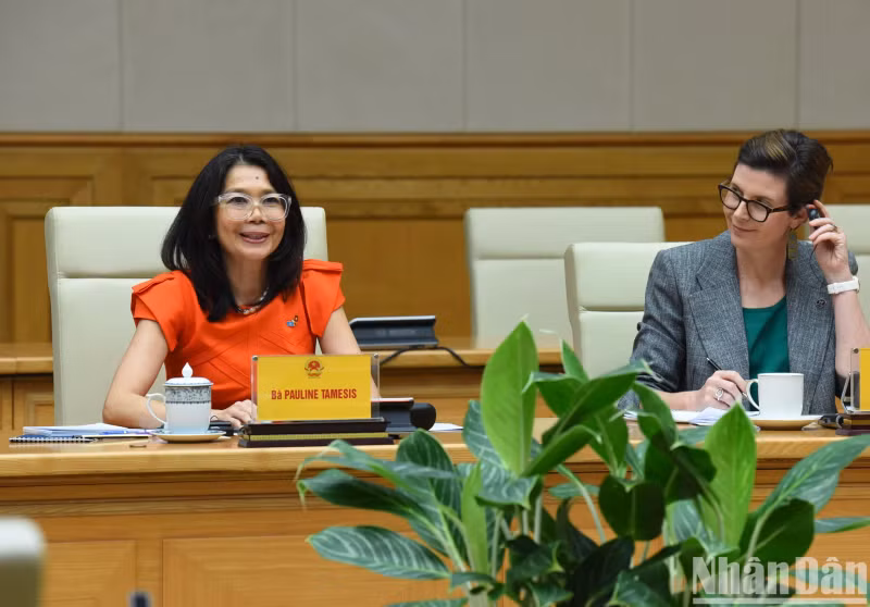 联合国常驻越南协调员兼各机构首席代表宝琳·塔梅西斯在会见中发表讲话。