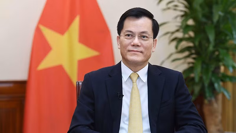 越南外交部副部长何金玉在美国总统约瑟夫·拜登访问越南前夕接受媒体记的采访。