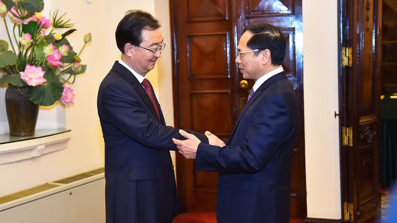 越南外交部部长裴青山和中国云南省委书记王宁。（图片来源：国际报）
