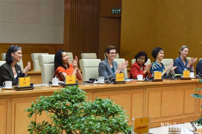 联合国常驻越南协调员兼各机构首席代表宝琳·塔梅西斯表示，联合国高度评价越南有关支持多边主义的立场。