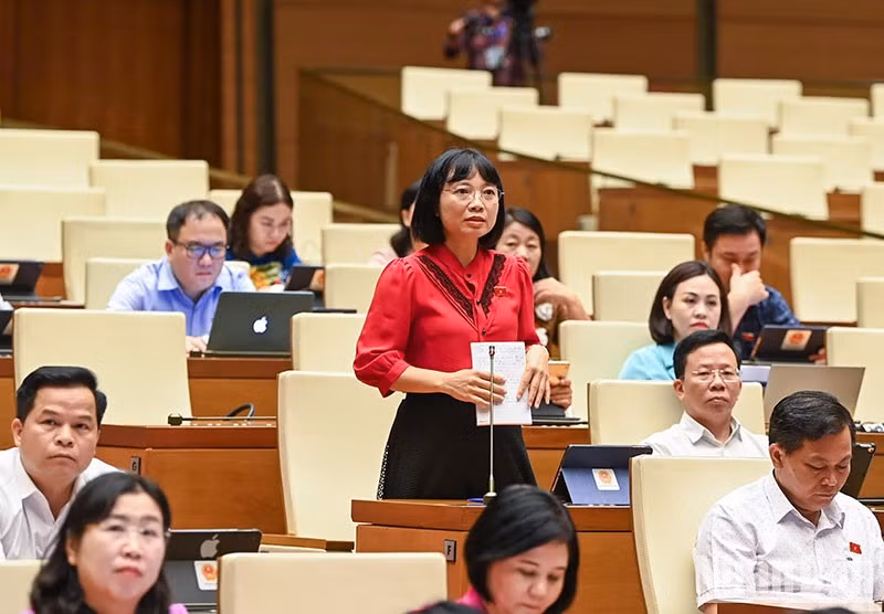 海阳省国会代表阮氏越俄发表讨论意见。