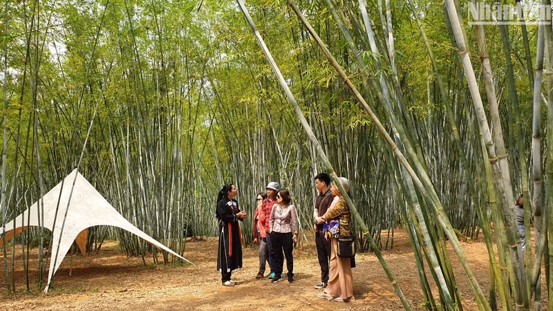 游客参观安世县春良乡沿村。
