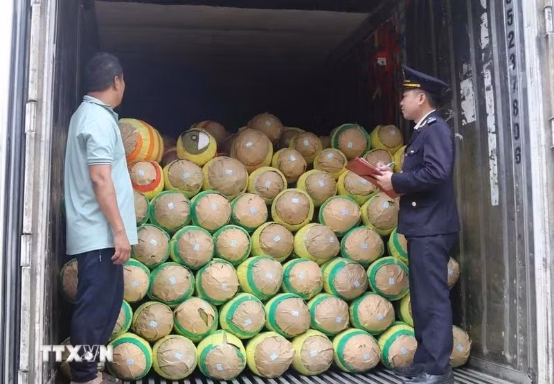 友谊口岸海关干部对出口产品进行检查。（图片来源：越通社）