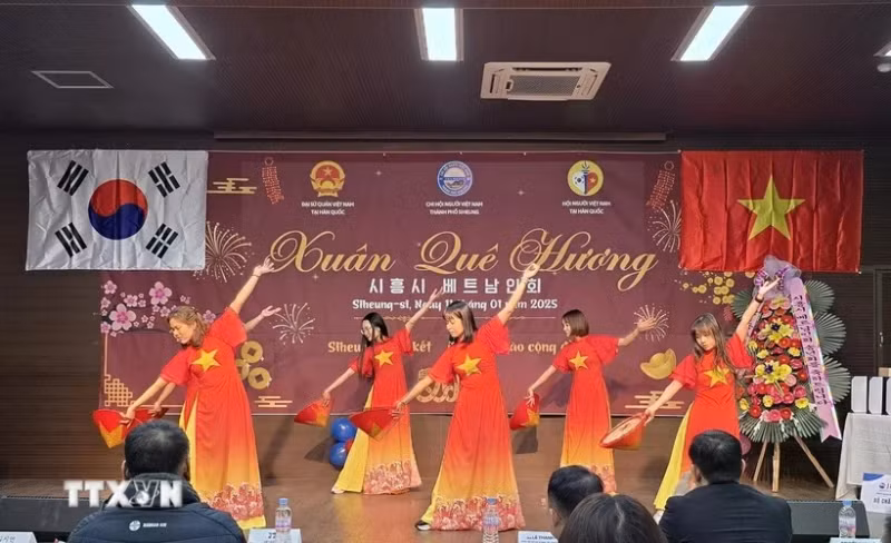 旅居韩国京畿道始兴市越南人协会举行迎接2025年新年“家乡之春”活动。（图片来源：越通社）