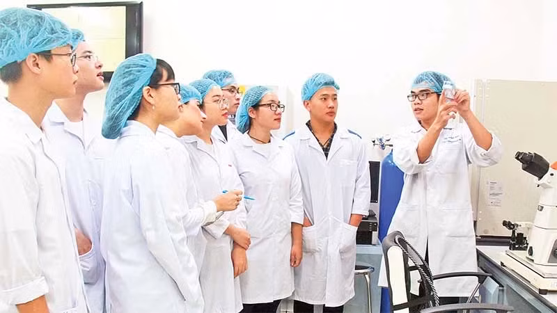 胡志明市国家大学的科研活动。