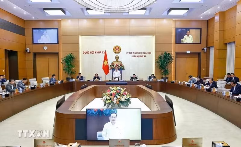 越南国会主席陈青敏主持会议。（图片来源：越通社）