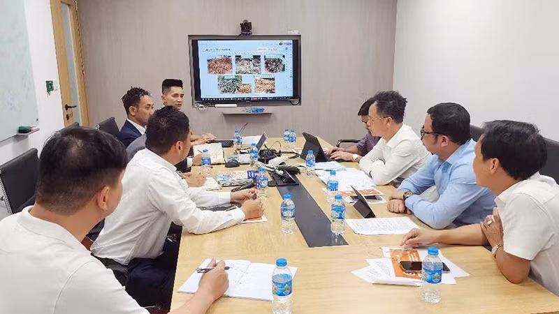 老街省人民委员会工作代表团与日本Erex股份公司领导举行工作会议。