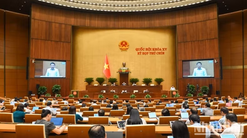 会议全景。
