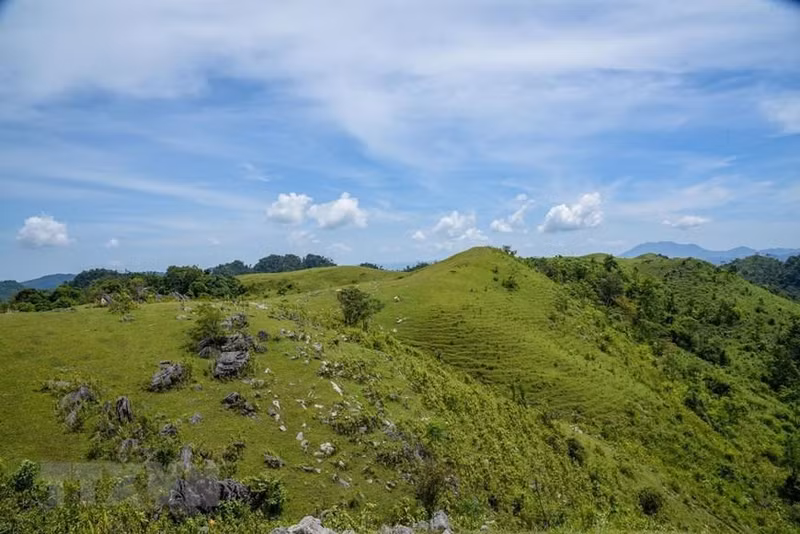  仙女山——谅山省宁静原始的旅游胜地【组图】 ảnh 5