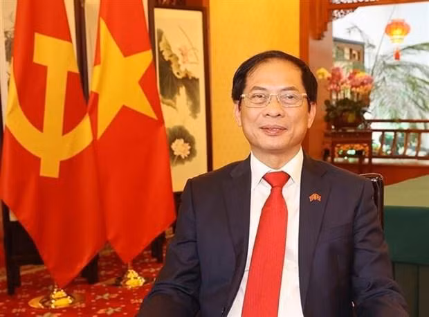 越南外交部长裴青山。（图片来源：越通社）