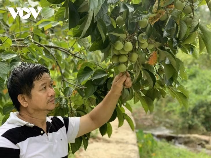 黄仲勇老农。（图片来源：越南之声）