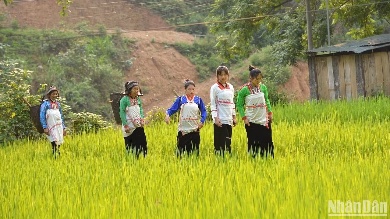 莽族妇女穿着传统服饰。