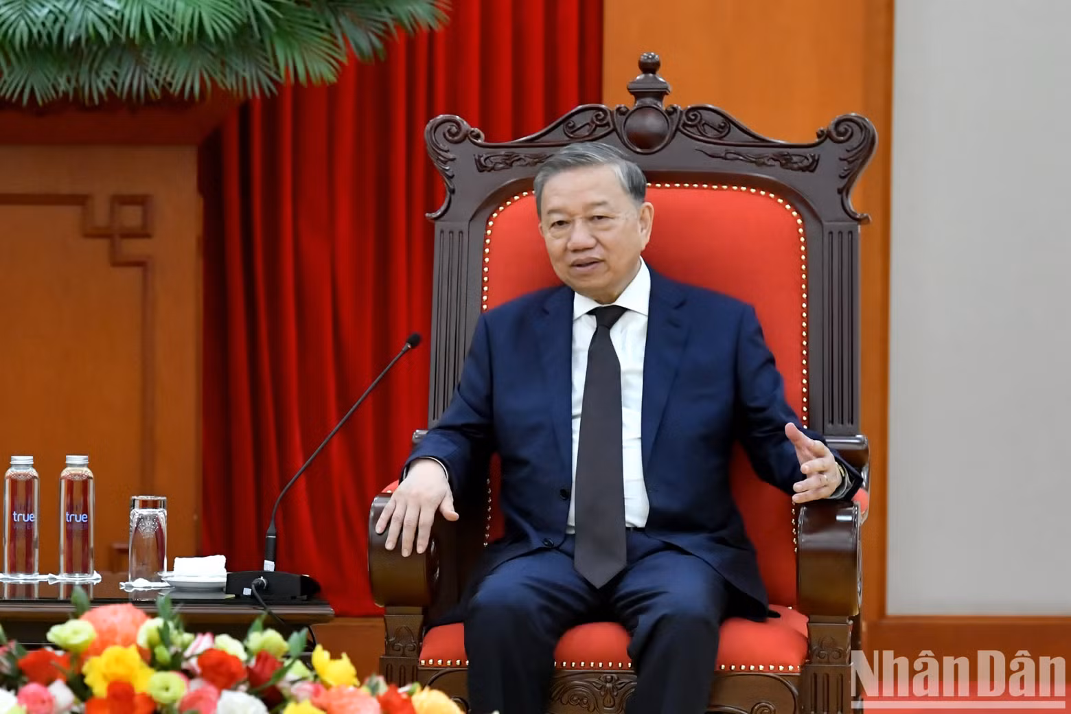 苏林总书记在会见中发表讲话。