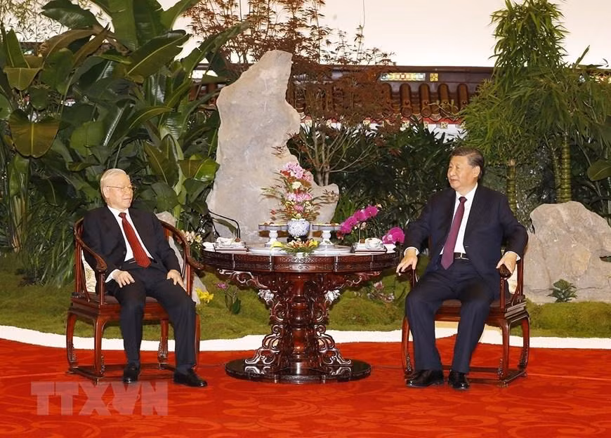 越共中央总书记阮富仲和中共中央总书记、中国国家主席习近平品茶。（图片来源：越通社）