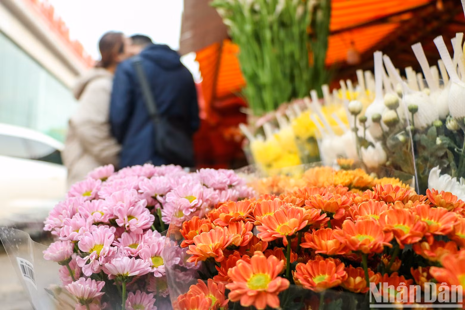 三八国际妇女节即将来临 广安花卉市场五彩缤纷【组图】 ảnh 2