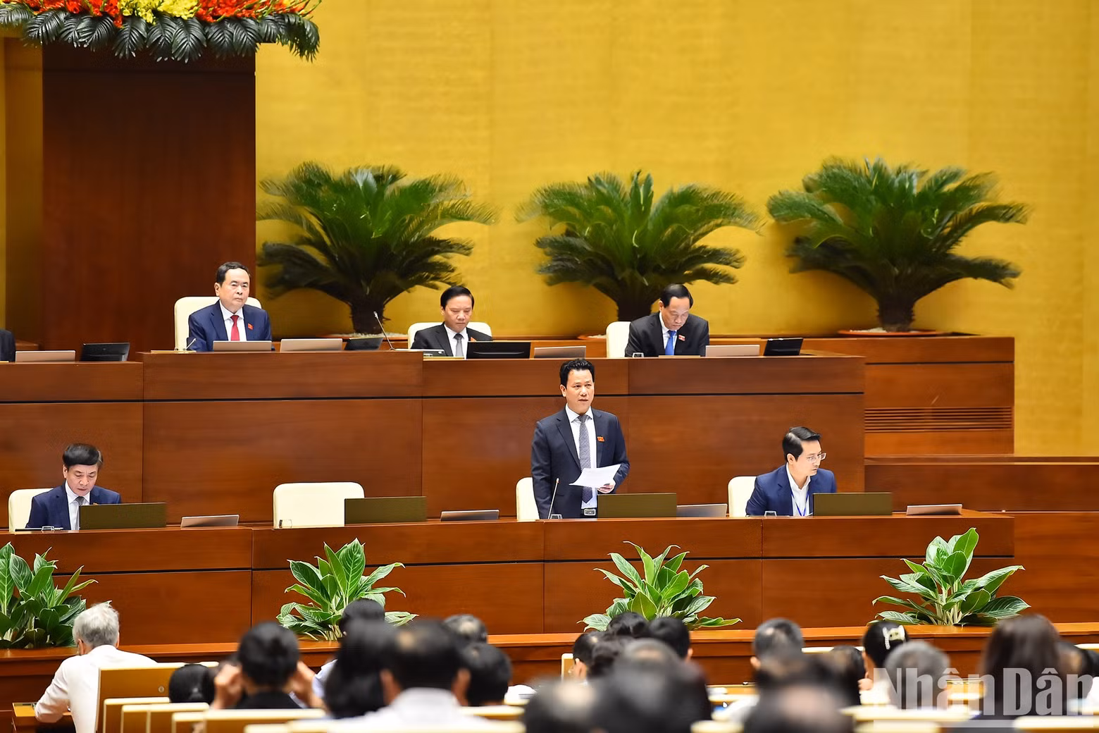 邓国庆部长回答质询。 邓国庆部长回答质询。