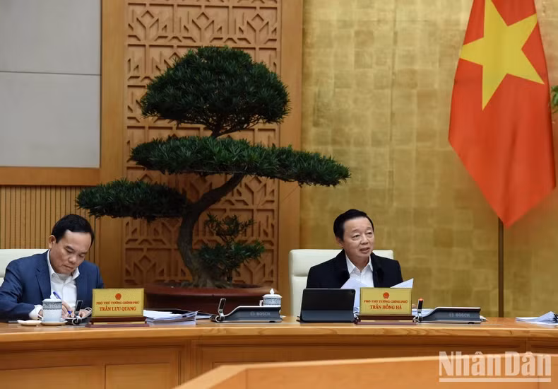 政府副总理陈红河发表讲话。