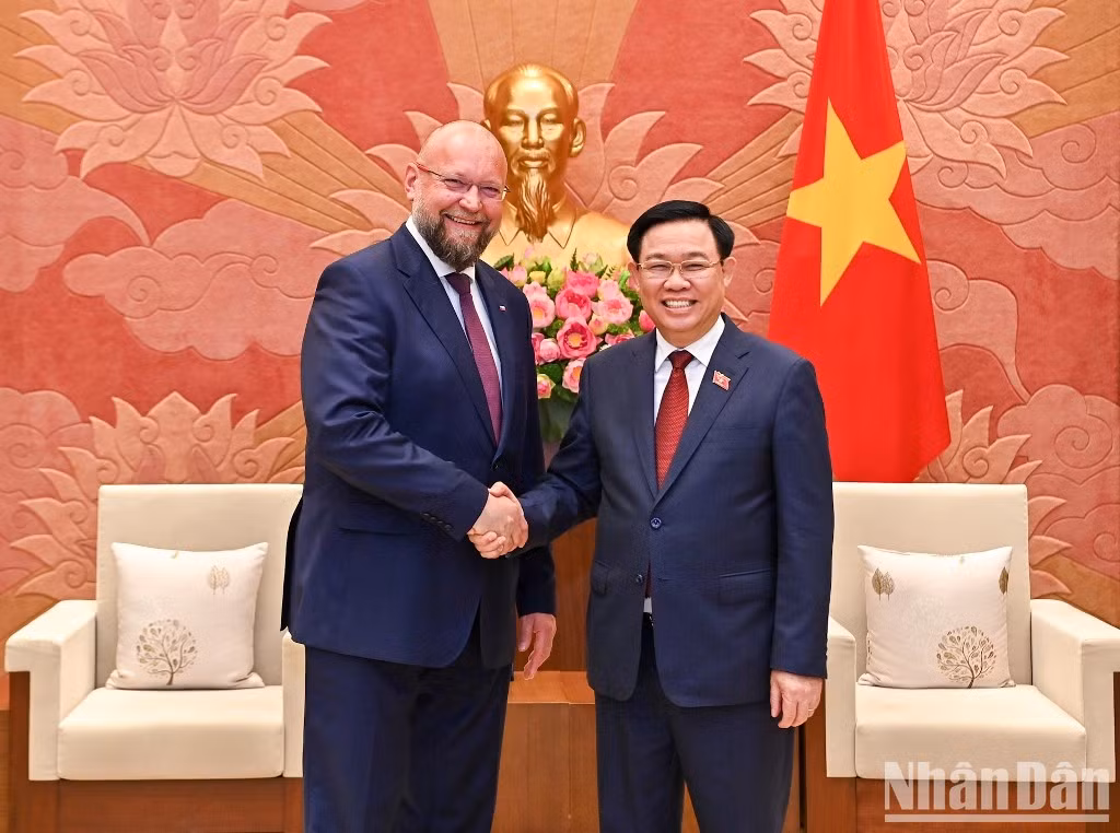 越南国会主席王廷惠会见捷克众议院副议长扬·巴尔托谢克【组图】 ảnh 1