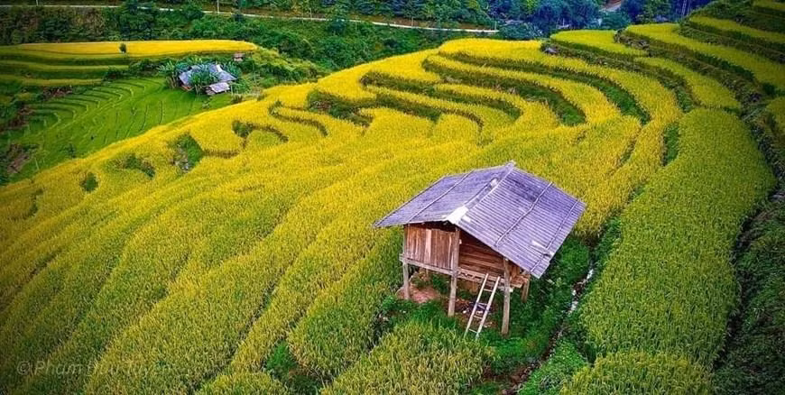 宝乐县兴道乡梯田美丽风光。（图片来源：越通社）