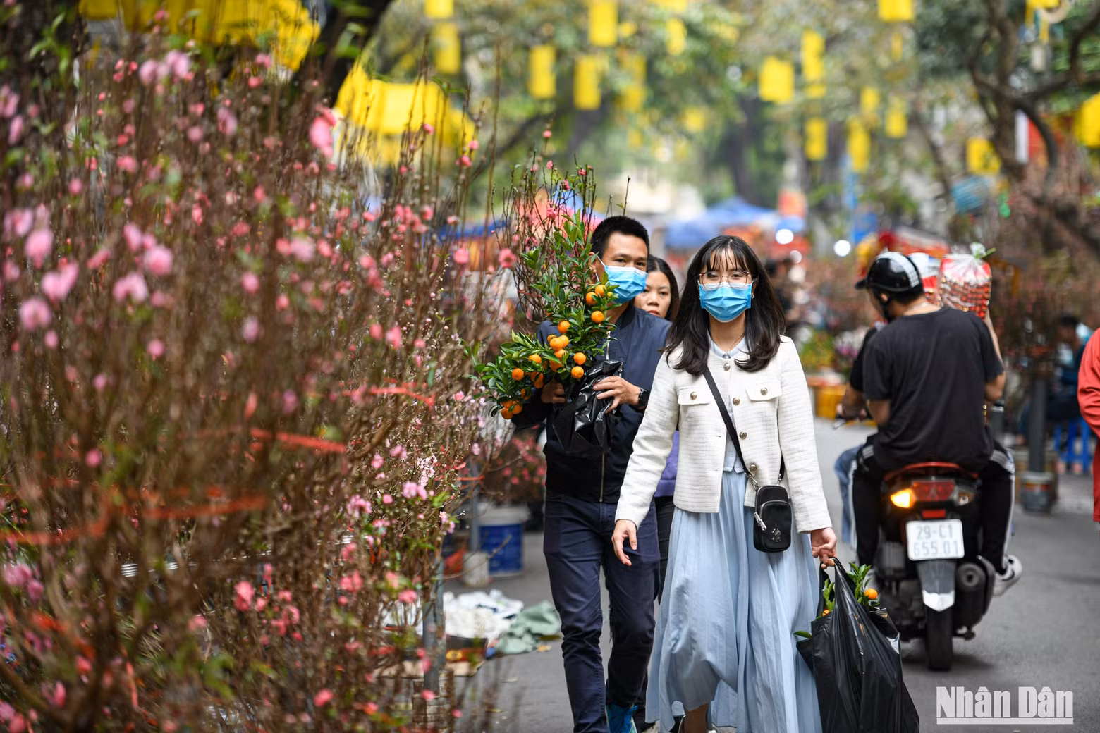 梳街春节花卉市场是河内市传统文化之美。