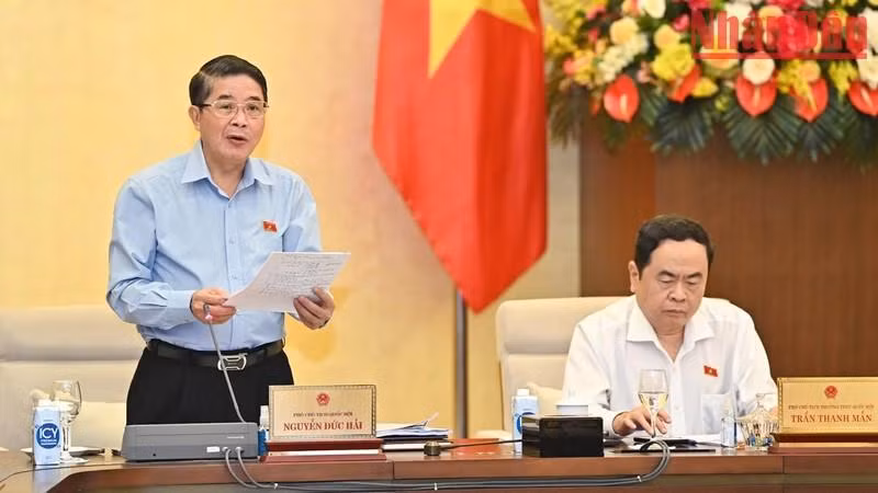 国会副主席阮德海发表讲话。