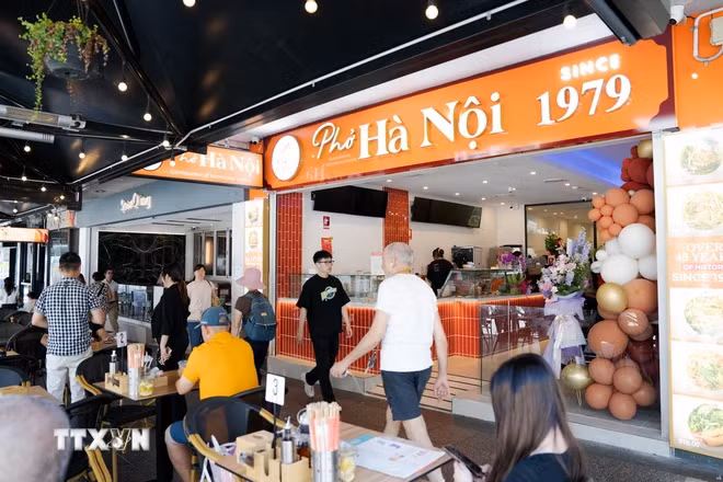 “河内河粉1979”餐厅吸引众多食客前来品尝。