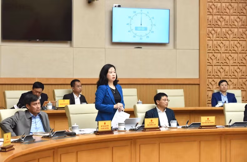 越南卫生部部长陶红兰在会上发言。 越南卫生部部长陶红兰在会上发言。
