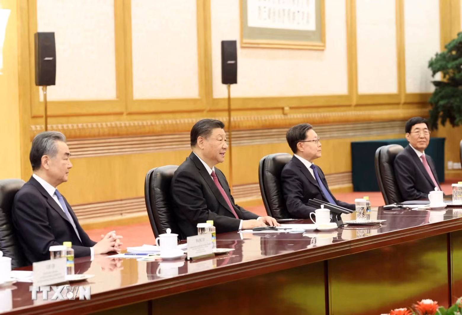 中共中央总书记、中国国家主席习近平和中国代表团。