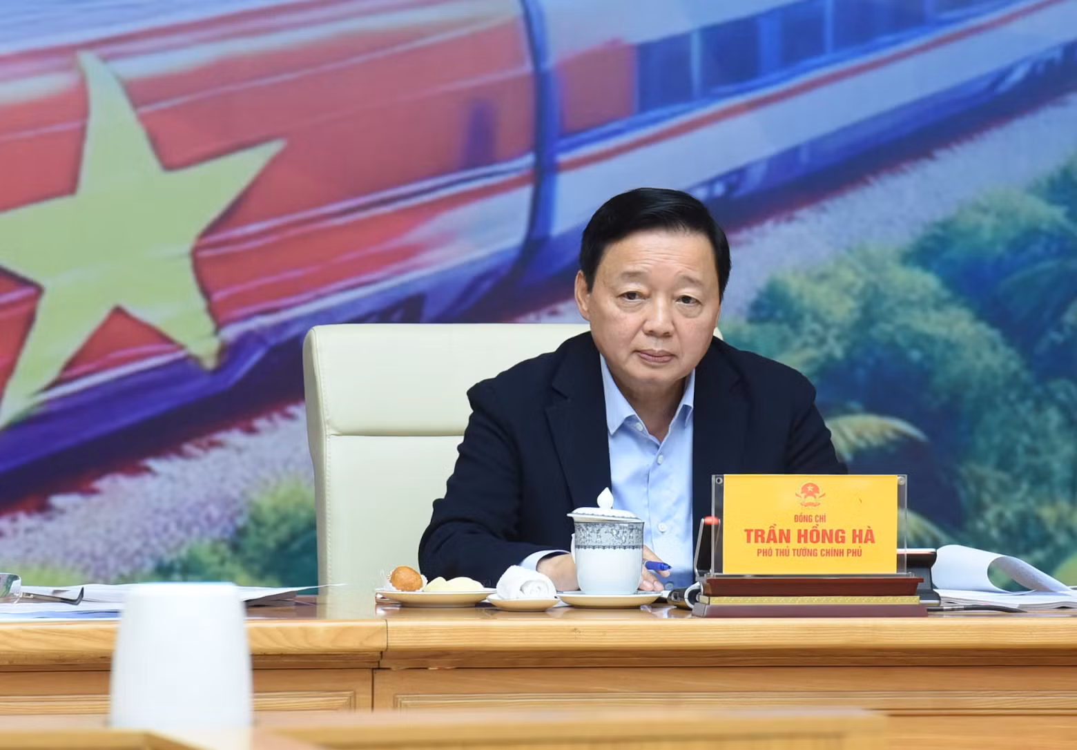 越南政府副总理陈红河发表讲话。